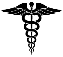lmc logo icon
